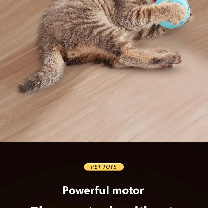 Automatic Rolling Ball Toy