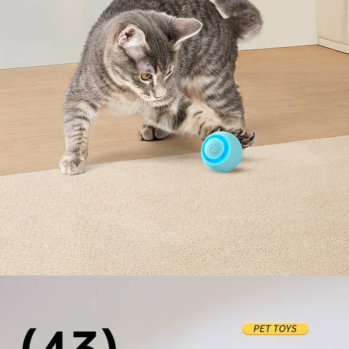 Automatic Rolling Ball Toy