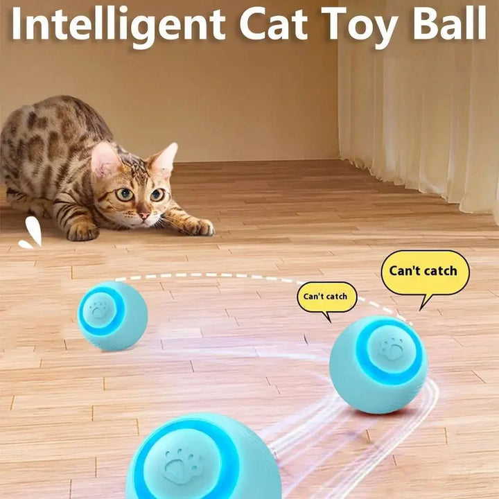 Automatic Rolling Ball Toy